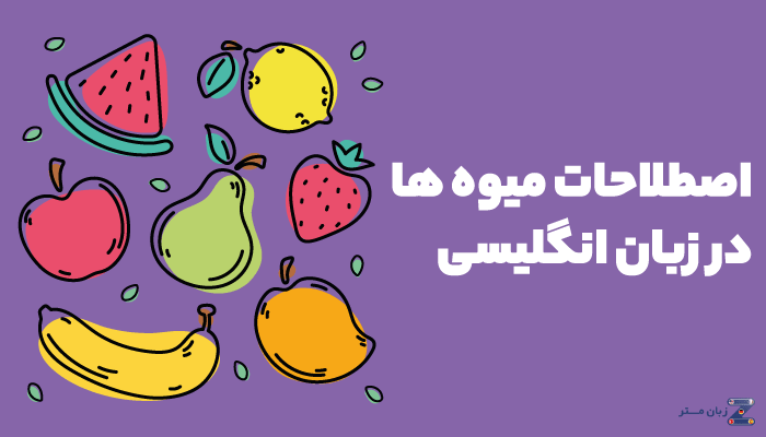 اصطلاحات میوه ها در زبان انگلیسی