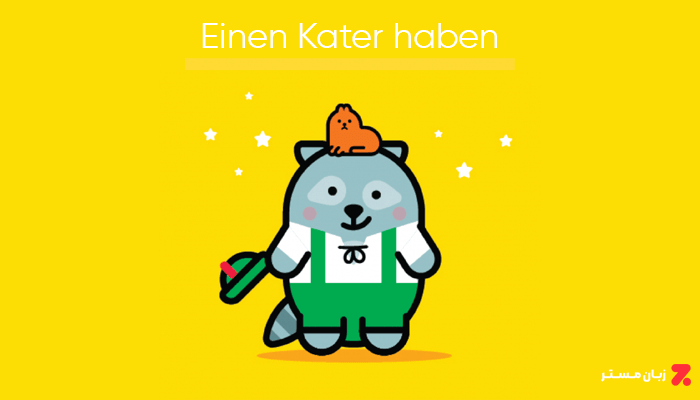 Einen Kater haben
