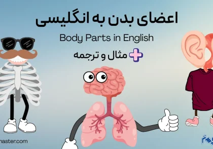 لیست کامل اعضای بدن به انگلیسی + مثال و ترجمه