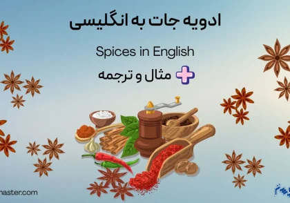 ادویه جات به انلگیسی + مثال و ترجمه