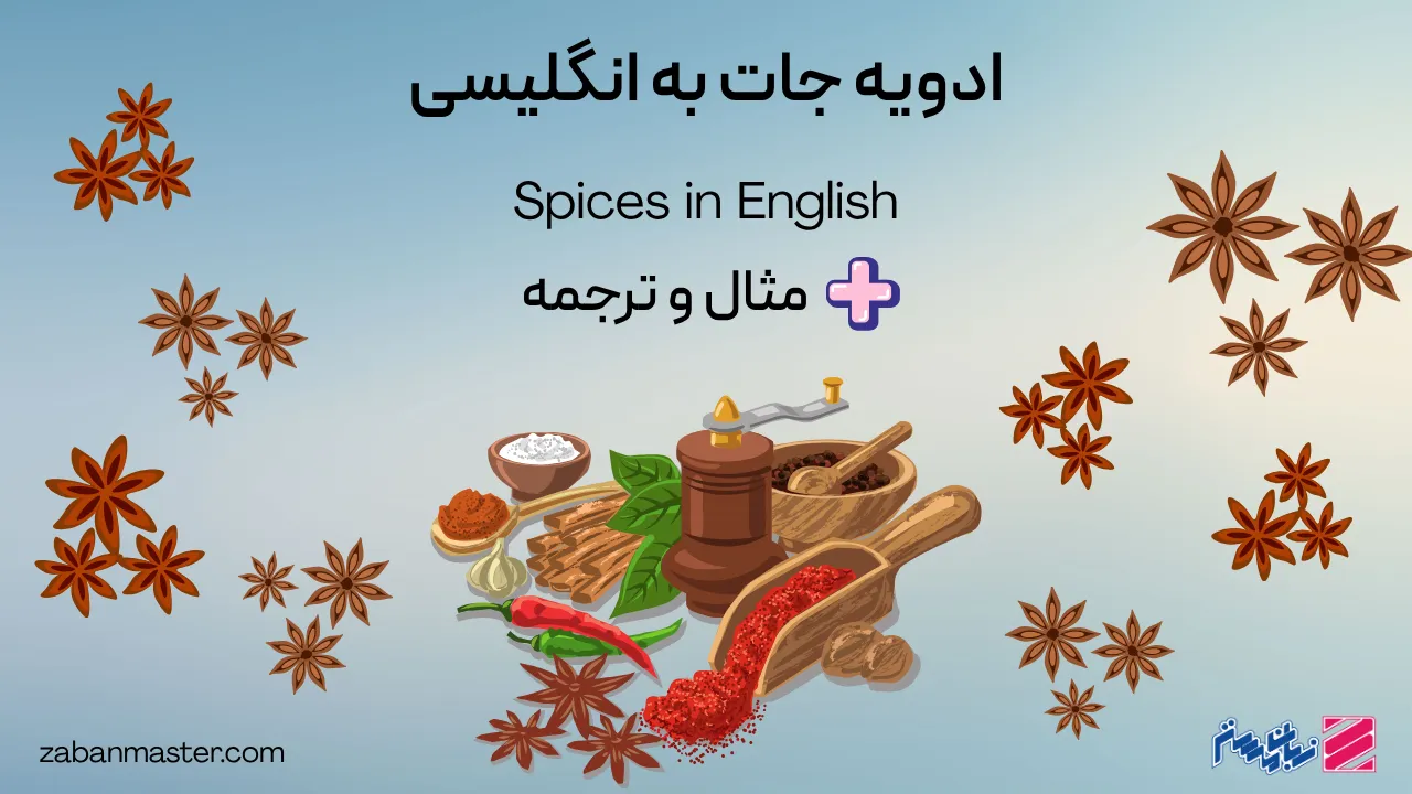 ادویه جات به انلگیسی + مثال و ترجمه
