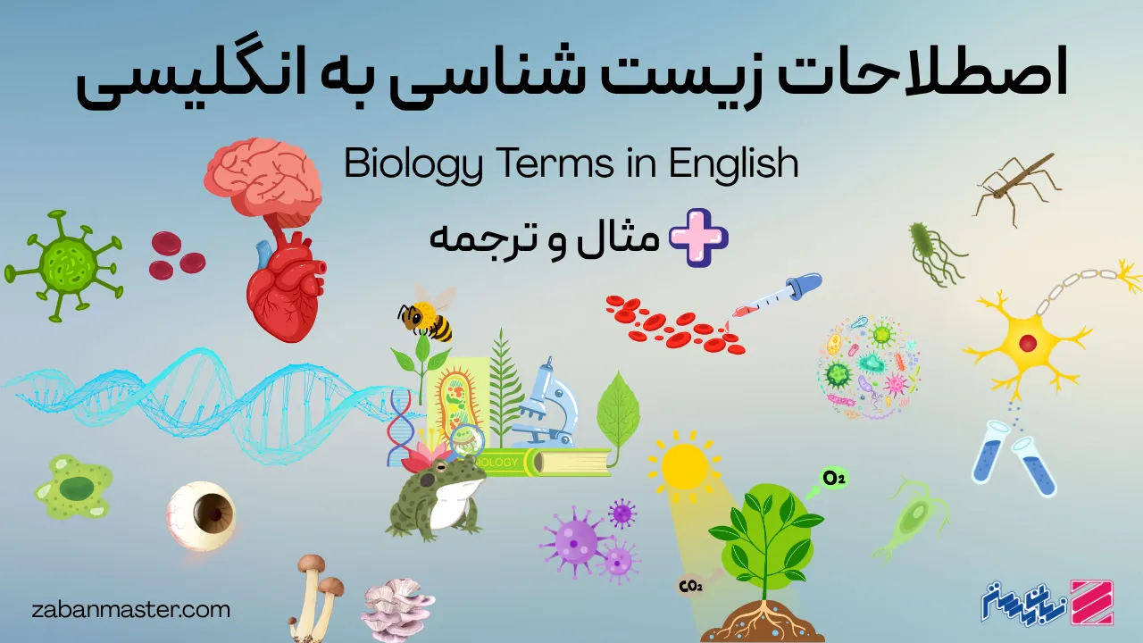 اصطلاحات زیست شناسی به انگلیسی + مثال و ترجمه