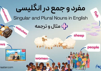 مفرد و جمع در انگلیسی + مثال و ترجمه