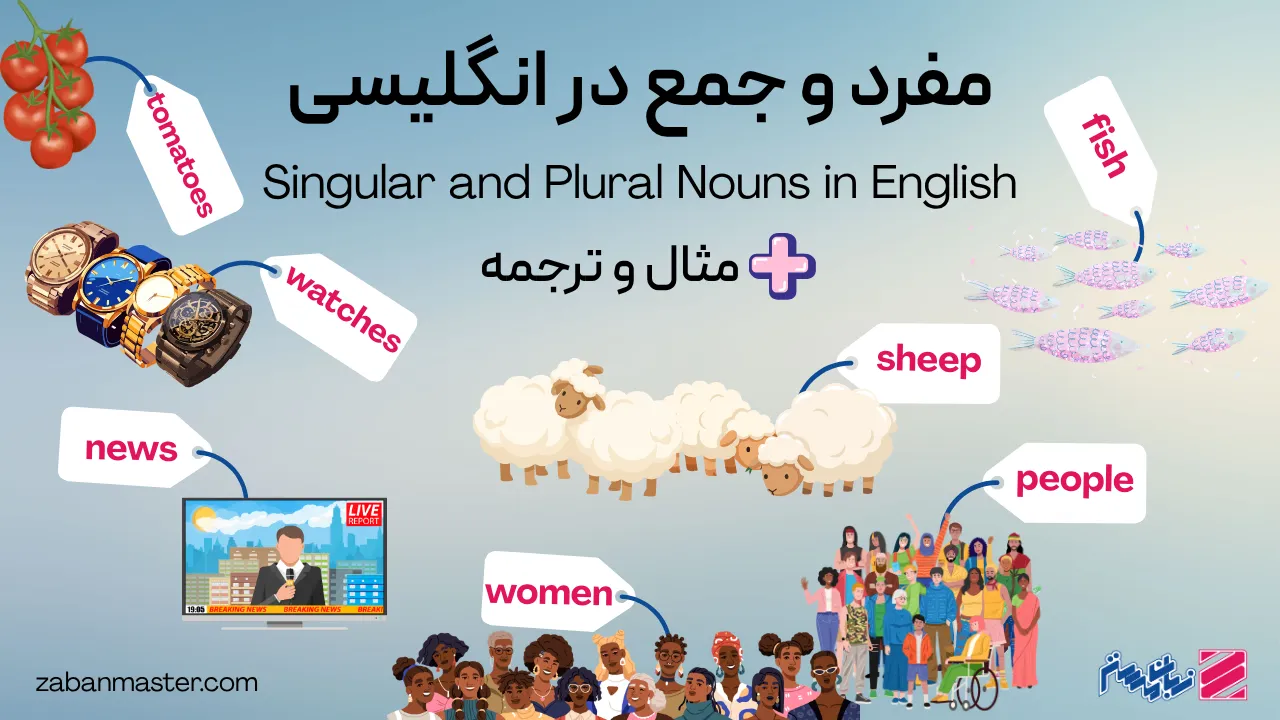 مفرد و جمع در انگلیسی + مثال و ترجمه